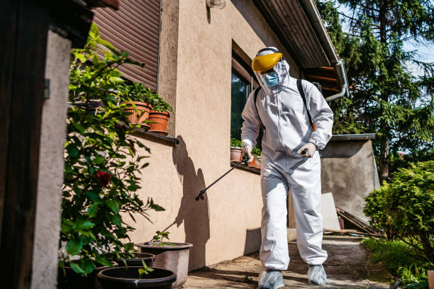 Best Affordable Pest Control Services  in West, TX