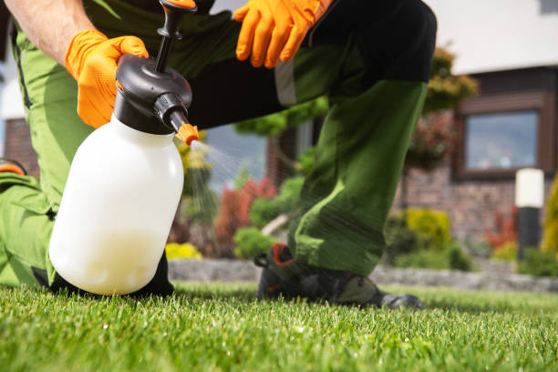 Pest Control Cost in West, TX
