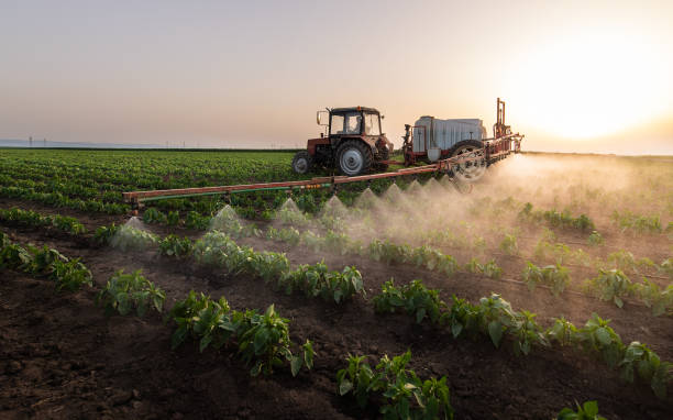 Best Pest Prevention Services  in West, TX