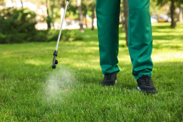 Best Bed Bug Extermination  in West, TX
