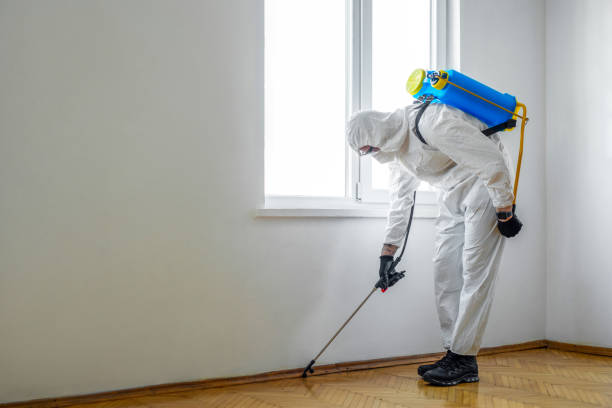 Best Local Pest Control Services  in West, TX