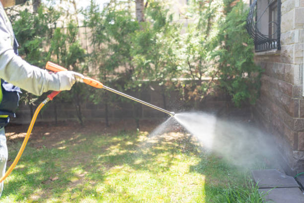 Best Ant Control Services  in West, TX