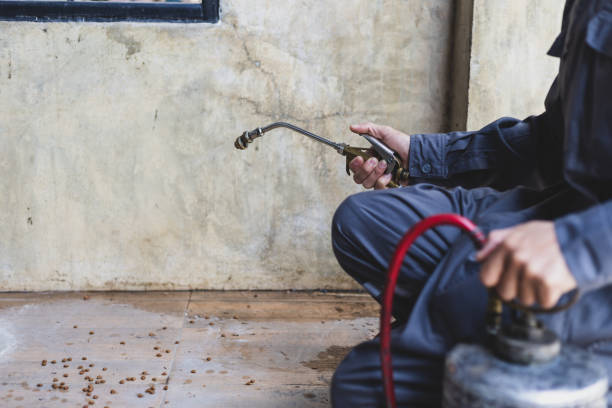 Best Pest Removal Services  in West, TX
