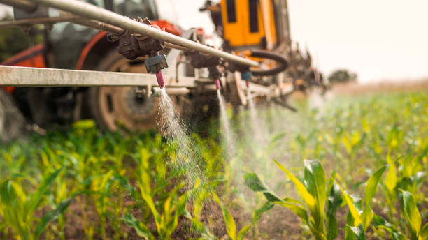 Best Best Pest Control Companies  in West, TX